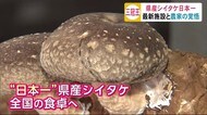 「三冠王」達成!秋田県産シイタケ 念願の日本一