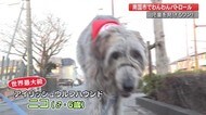 登下校中の安全見守るワン!デカすぎる犬に子供たちは・・・わんわんパトロール【高知】