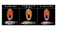 特徴が分かる“鮭の一覧表”が参考になると話題…焼き鮭にオススメはどれ? 担当者に聞いた