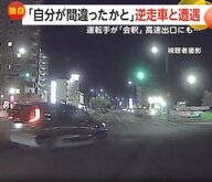 「え？」「一方通行だよね？」正面からスピード落とさず迫る逆走車　軽く会釈する逆走ドライバー　「もう逆走だよ…逆走―！」高速出口にも