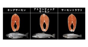特徴が分かる“鮭の一覧表”が参考になると話題…焼き鮭にオススメはどれ? 担当者に聞いた