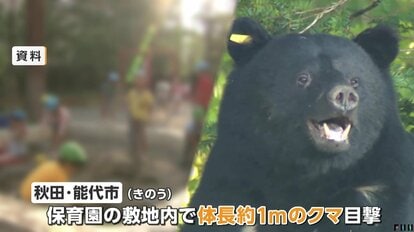 猫まで食べるのか」飼い猫「タマ」をクマが襲撃 家のそばで死骸