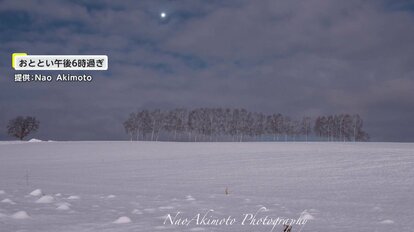 北海道・美瑛町のシラカバ並木（2025年1月13日午後6時すぎ撮影）