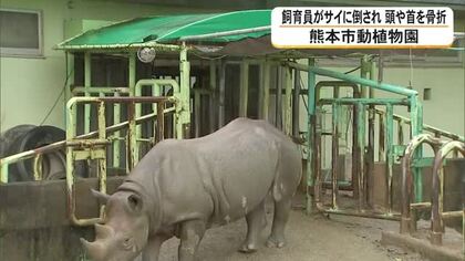 飼育員がサイに倒され頭や首を骨折　熊本市動植物園