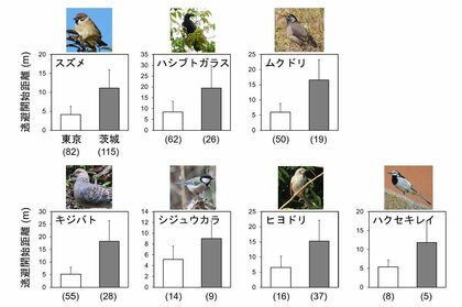 【国立科学博物館】都市の鳥はリスクを回避しない傾向をもつ～大都市東京で野生鳥類の警戒性の低下を実証～