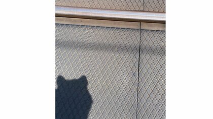 踏切を渡っていたら愛犬が「ギャン」と悲鳴…線路に流れる“電流”が原因? 鉄道会社に注意点を聞いた