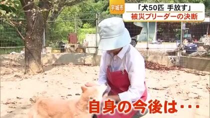 「体力も限界だなと」震度７を観測した宇城市の豆柴専門飼育施設がすべての犬を手放す【令和８年熊本地震】
