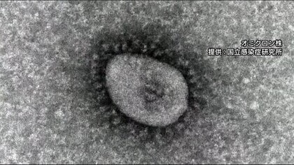 【速報】新型コロナ　全国で257人死亡　高い水準続く　大阪49人 神奈川31人 東京29人死亡