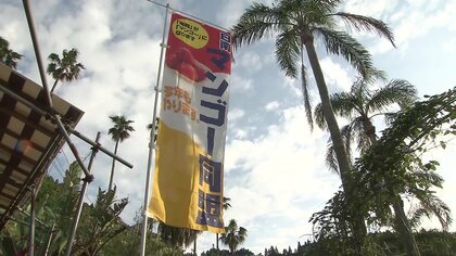 「マンゴー」プリンスホテル？　期間限定でランチ・サブスクも…町全体でマンゴーPR【宮崎発】