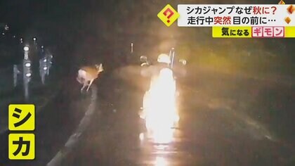 シカが突然目の前を…「体感では2mぐらい」ガードレール跳び越えバイクの前横切る　北海道で事故増加中　