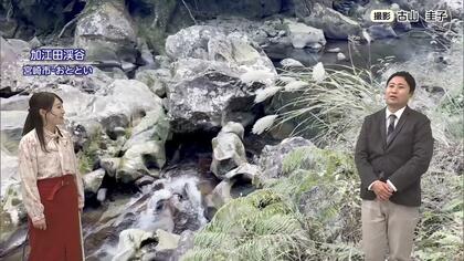 山火事を防ぐ新ルール！新たに導入された「林野火災警報・注意報」の基準や火の使用制限、違反時の罰則について気象予報士が解説