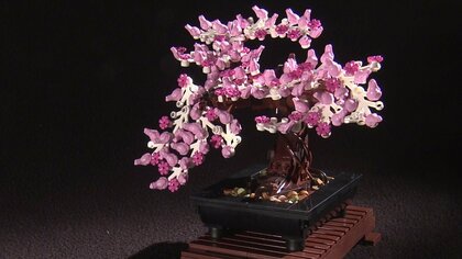 デンマーク本社が「禅の心」に着目し開発…大人向けレゴブロックにまさかの「盆栽」 無になり作る2時間20分