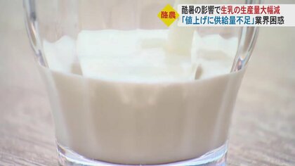 「完全に足りない」猛暑の影響が牛にも…生乳不足が深刻化で学校給食への影響も　一部メーカーで出荷調整も