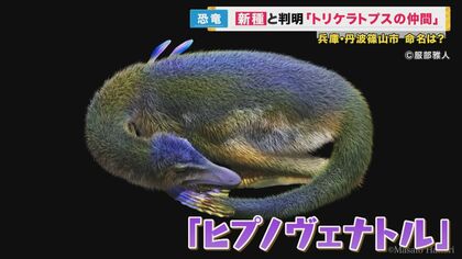 トリケラトプスの仲間『新種の恐竜』発見 「頭が復元できる