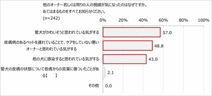 犬のかゆみが増加する夏に向けて実施 皮膚疾患を持つ犬のオーナーの悩み 課題に関する実態調査 8割以上が 皮膚状態や治療が心配 痒そうな様子を見るのが辛い 5割弱が 周囲の視線が気になる 犬のかゆみが増加する夏に向けて実施 皮膚疾患を持つ犬のオーナーの悩み 課題に関する実態調査 8割以上が 皮膚状態や治療が心配 痒そうな様子を見るのが辛い 5割弱が 周囲の視線が気になる
