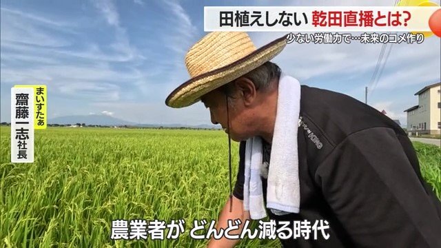 「まいすたぁ」は、地域の生産者と企業それぞれの機能を活かした連携が大切と考えている