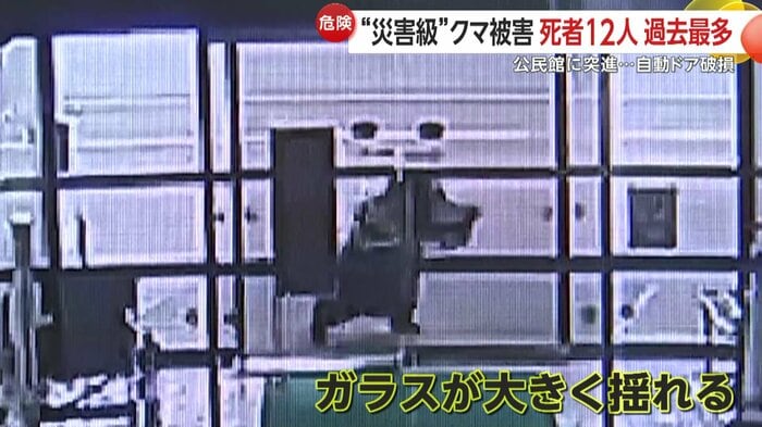 公民館に現れたクマ(30日、岩手・雫石町)