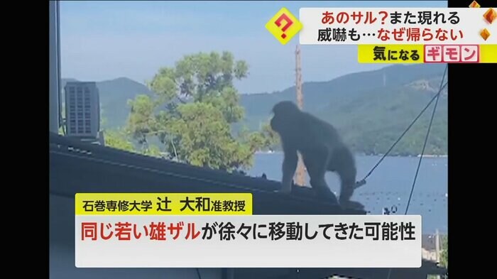 (FNN投稿サイト「ビデオPost」)
