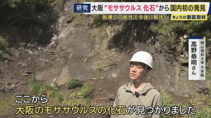大阪のモササウルスの化石が見つかった