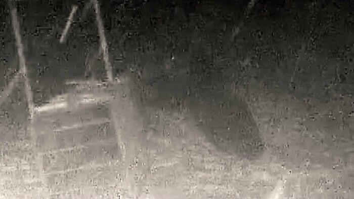 重さ約300キロの箱わなをクマがひっくり返した（提供：苫前町猟友会 林豊行会長）