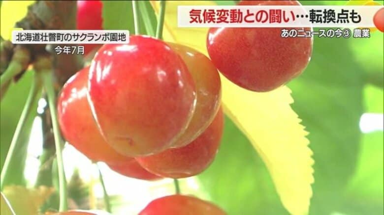 気候変動による農業への影響が深刻化…農作物に過去最大の被害　“山形ブランド”守る取り組みも【山形発】｜FNNプライムオンライン