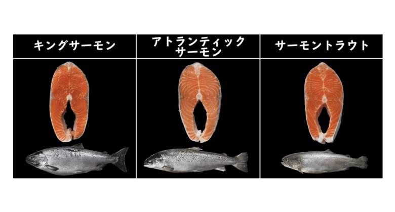 特徴が分かる“鮭の一覧表”が参考になると話題…焼き鮭にオススメはどれ？ 担当者に聞いた｜FNNプライムオンライン