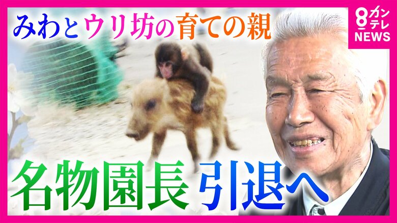 “みわとウリ坊”の育ての親　名物園長が引退へ　うり坊の現在の姿は「むちゃくちゃ大きくなって…」今だから話せる“亀吉脱走事件”　30年間ともに歩んできた動物たちとお別れ　福知山市動物園｜FNNプライムオンライン