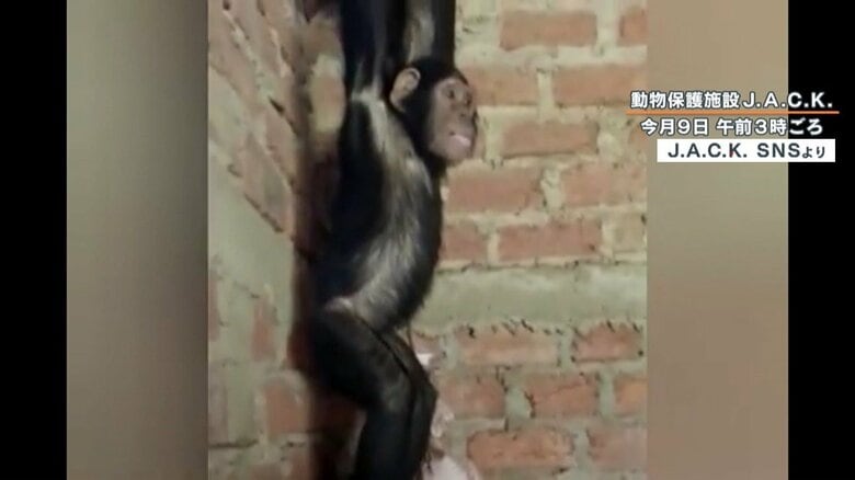両腕を頭上で縛られ、不安そうにも見える
