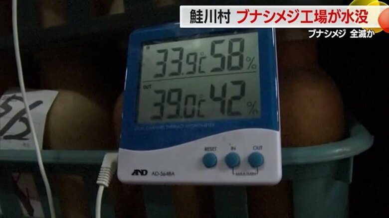 気温が39度～40度近くまで上昇