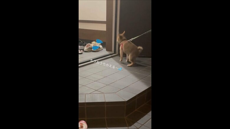 家の方を向いて帰りたい様子