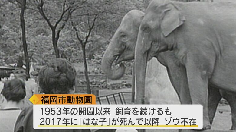 「はな子」が死んで以降、ゾウ不在だった福岡市動物園
