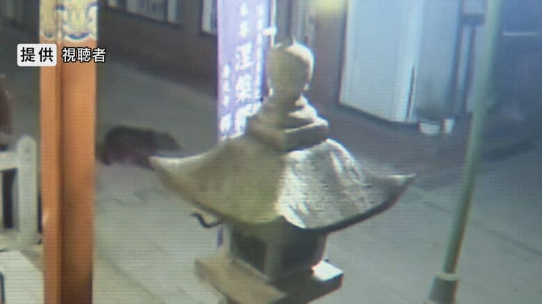 善光寺周辺の防犯カメラに映ったクマ