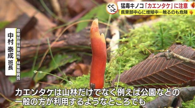 市街地の公園でも注意が必要