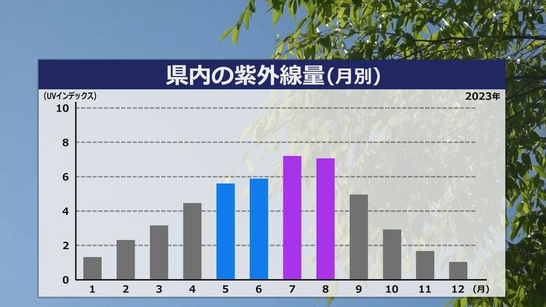 月別の紫外線量（福井県内）