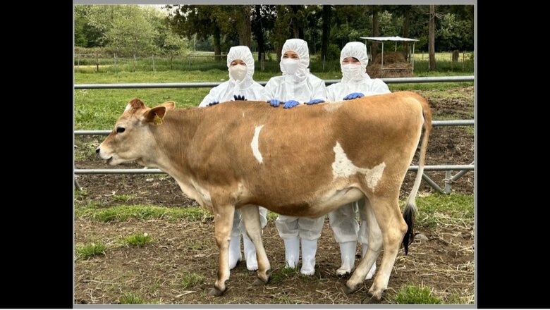 愛子さまが命名した牛レインボーと再会　提供宮内庁