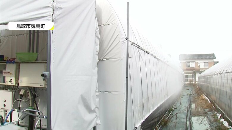 蒸気がハウスの外にも