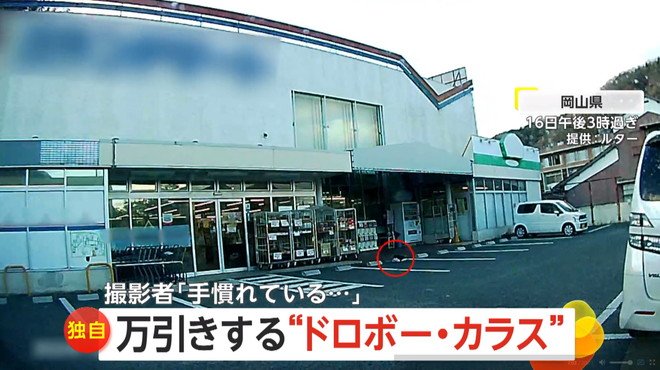 カラスが店頭のカップ麺をくわえて飛び立つ瞬間（16日午後3時過ぎ、岡山県のスーパーマーケット）②