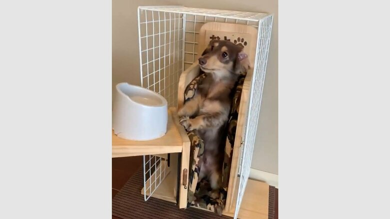 別アングルだとこんな感じ