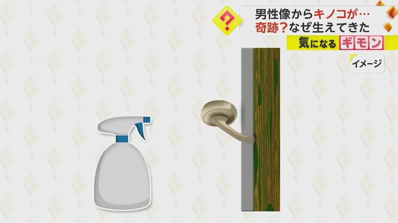 保湿のしすぎで木が腐り、キノコが生えたということだ