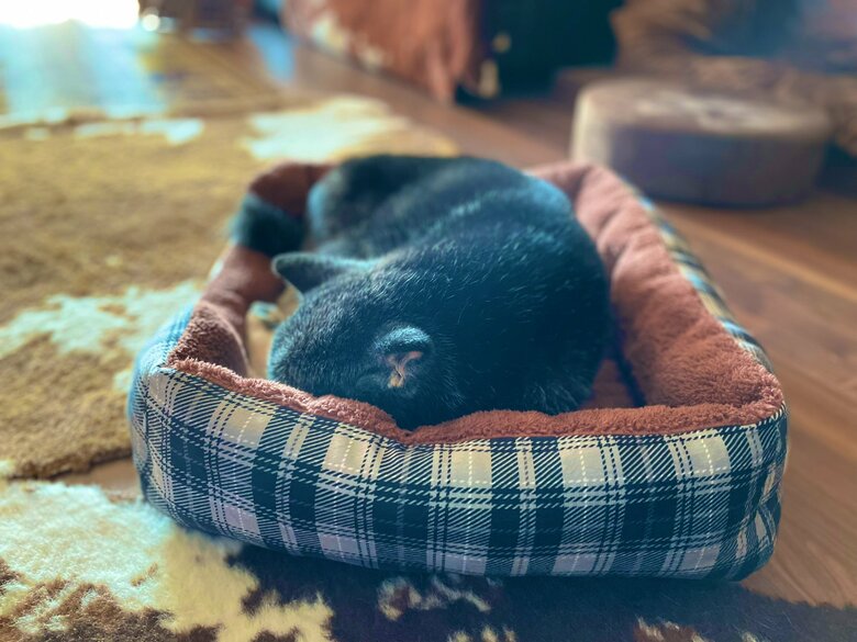 そして、眠ってしまった