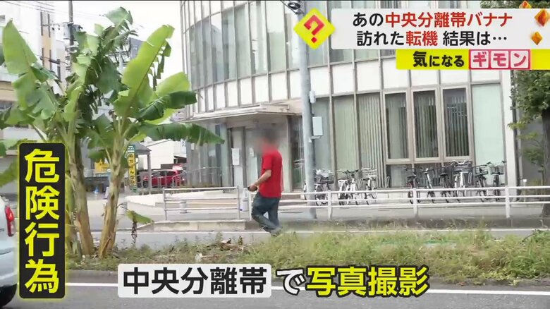 中央分離帯で写真撮影するなどの危険な行為もあった