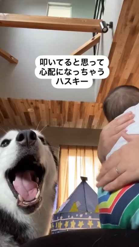 提供：akariさん