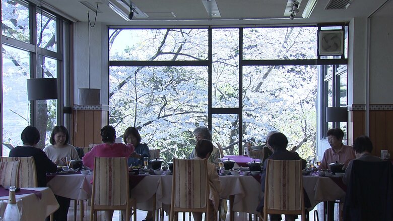 目の前の桜を愛でながらの食事