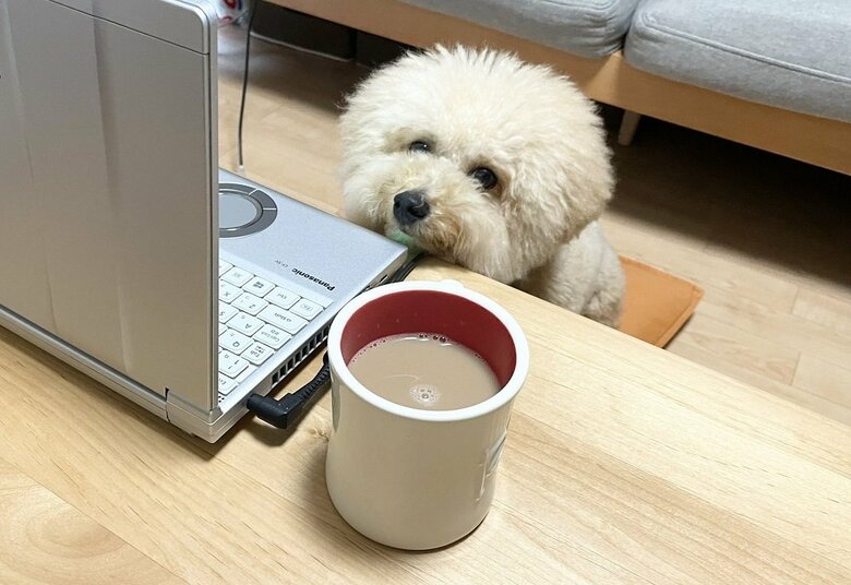 テレワーク　席を外したら…