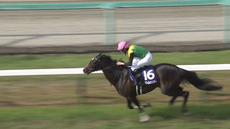 タイトルホルダー