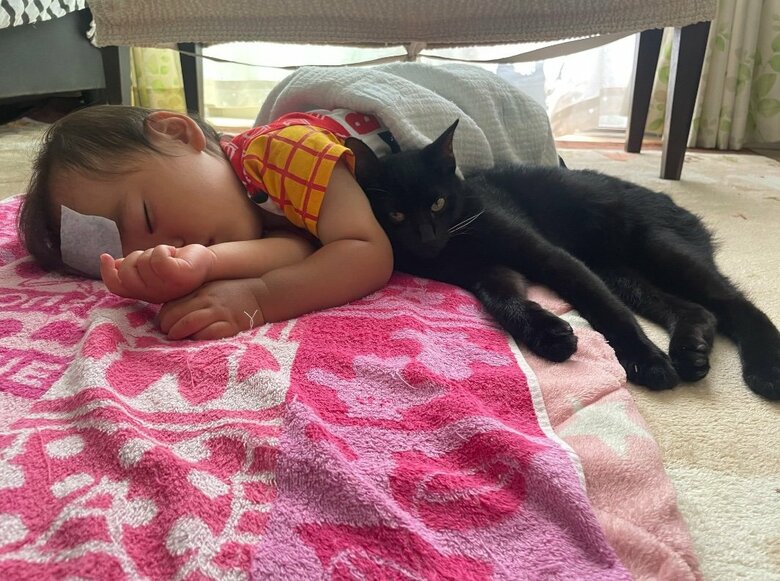 提供：ゴンゾウR4さん