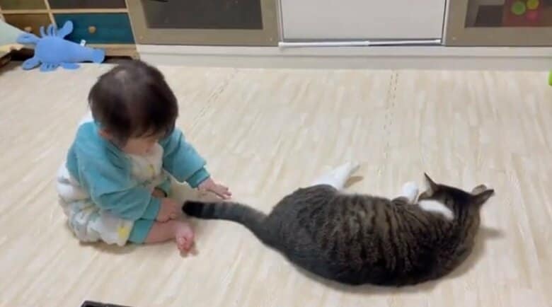 こばんちゃんもしっぽをパタパタ…