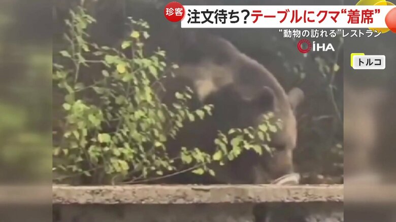 落ちていた皿をべろべろと舐めるクマ