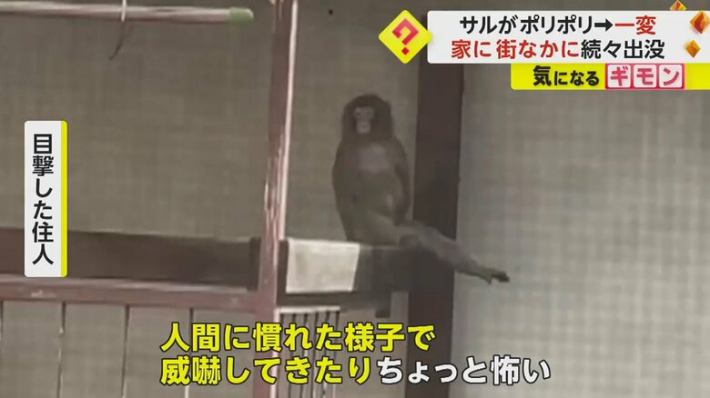 （ビデオPost Fnn投稿サイト）