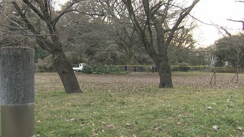 頭蓋骨のようなものが見つかった赤塚公園　東京・板橋区